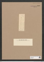 Diatomeae indet. Zeichnungen Sammlung Grunow Nr. 5882 (NHMW-BOT-W0374332)